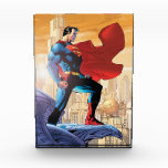 Superman Daily Planet Photo Block